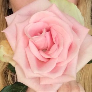 Meet your Posher, Miranda